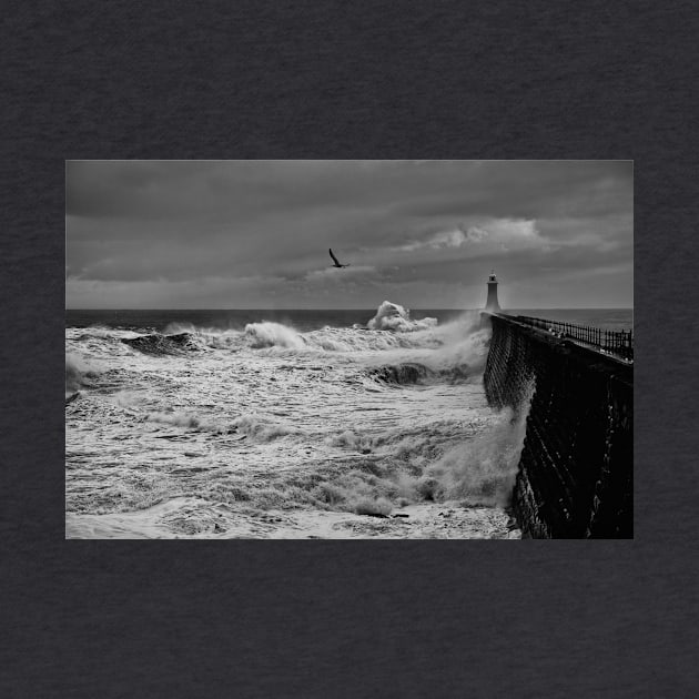 Stormy weather at Tynemouth Pier - Monochrome by Violaman